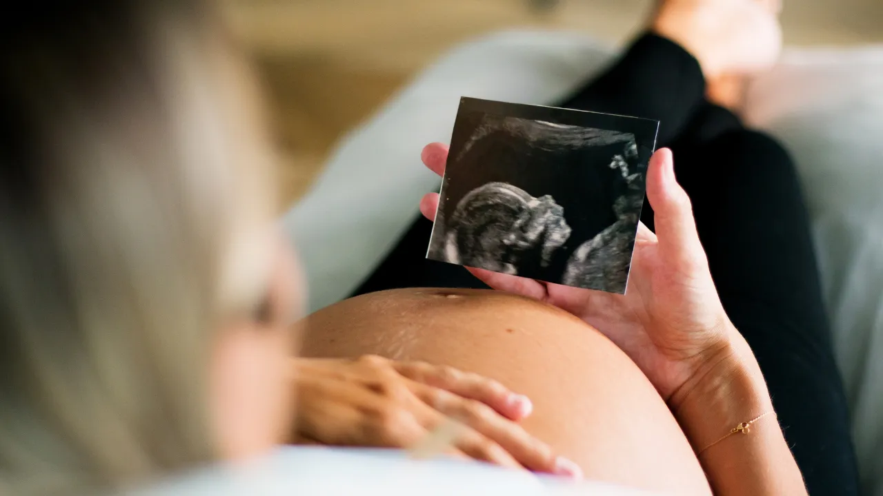 Gestante de 19 Semanas: Descubra Tudo Sobre o Desenvolvimento do Bebê
